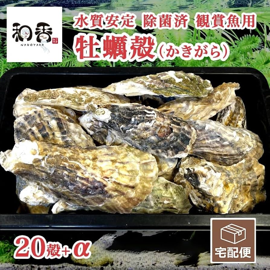 牡蠣殻　アクアリウム　ろ材　鯉　グッピー　メダカ　カメ 牡蠣殻 アクアリウム ろ材 鯉 グッピー メダカ カメ